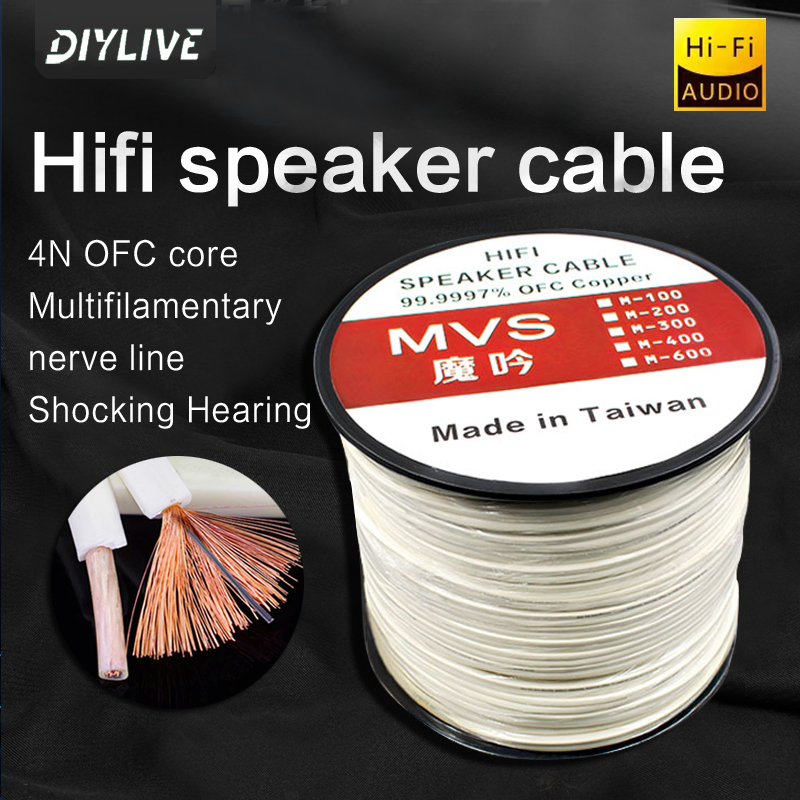 DIYLIVE HiFi Speaker line home - Home Cinema Couch บทวิจารณ์และราคา