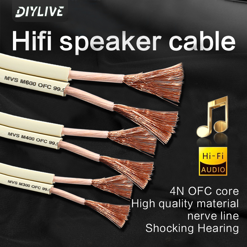 DIYLIVE HiFi Speaker line home - Home Cinema Couch บทวิจารณ์และราคา