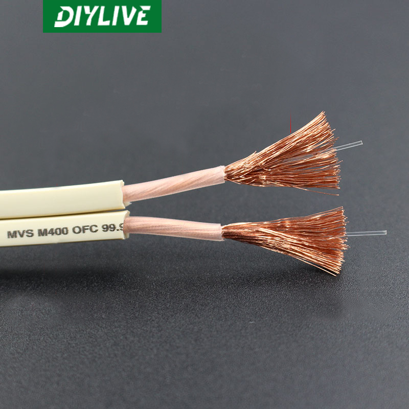 DIYLIVE HiFi Speaker line home - Home Cinema Couch บทวิจารณ์และราคา