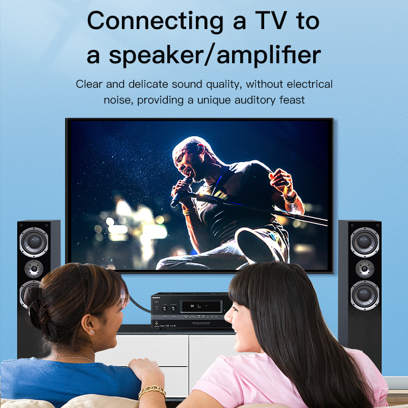 CHOSEAL RCA Cable Digital Coax - Home Cinema Subwoofer บทวิจารณ์และราคา